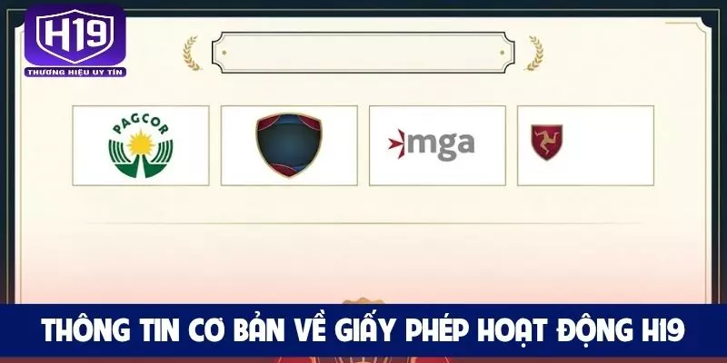 Thông tin cơ bản về giấy phép hoạt động H19